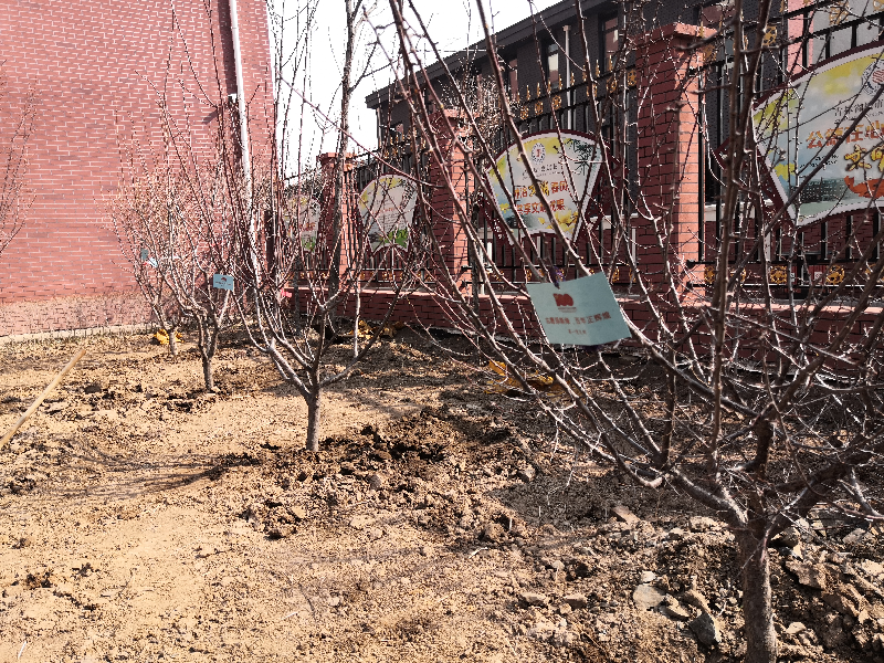 1657507981943389.png 图片27.png